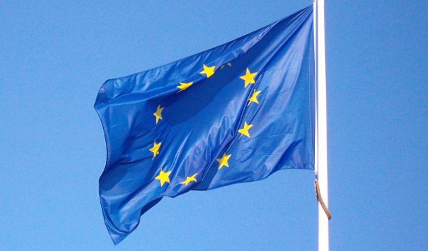 20141125 european flag wm